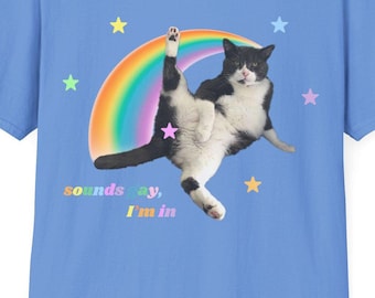 May include: A light blue t-shirt with a black and white cat sitting on a rainbow. The cat is wearing a rainbow and the text "sounds gay, I'm in" is printed below the cat.