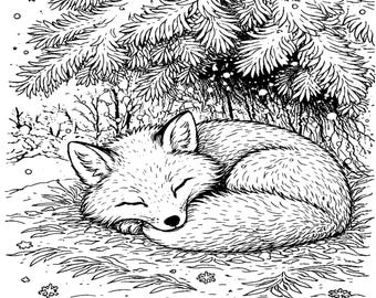 Dibujos para colorear de animales del bosque