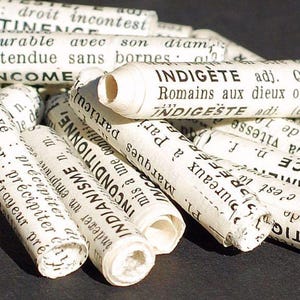 Op de afbeelding: Close-up van opgerolde stukken papier met zwarte tekst gedrukt op wit papier. De tekst bevat de woorden "INDIGÈTE", "INDIGESTE", "INCONDITIONNE" en "INDIANISME".