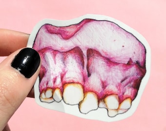 Creepy Teeth Vinyl Sticker: Macabre Horror Anatomy Art