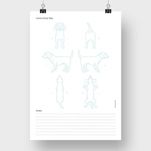 Hunde Körper Karte - Blaue Kontur | Hunde Körper Karte | Hund Line Art | Hunde Diagramm | Zeckensuchgerät für Hunde | Hundepflege | Letter A4 Digitaler Download