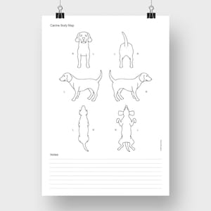Hunde Körper Karte - Schwarze Umrandung | Hunde Körper Karte | Hund Line Art | Hunde Diagramm | Zeckensuchgerät für Hunde | Hundepflege | Letter A4 Digitaler Download