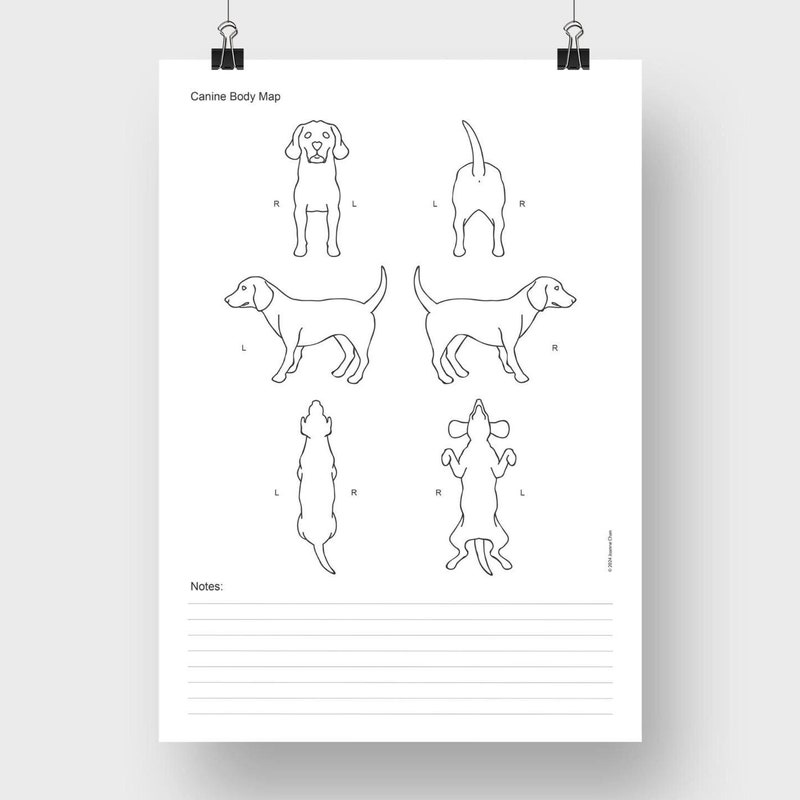 Canine Etsy