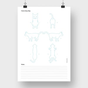 Feline Körperkarte - Blaue Kontur | Katzenkörper Karte | Katze Line Art | Katzen Diagramm | Katzen Tick-Sucher | Katzenpflege | Letter A4 Digitaler Download