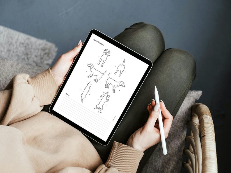 Canine Body Map - Black Outline | Dog Body Map | Dog Line Art | Dog ...
