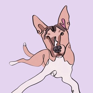 Ritratti digitali di animali domestici (SENZA AI)