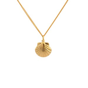 May include: A gold-toned necklace featuring a delicate chain and a pendant shaped like a scallop shell. The shell pendant has a textured surface with radiating ridges and a polished finish, suspended from a simple jump ring on the thin metal chain.
