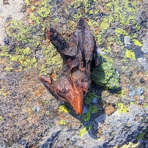 May include: A dark brown wooden sculpture with a circular hole in the center, resting on a rocky surface covered in green and gray lichen.