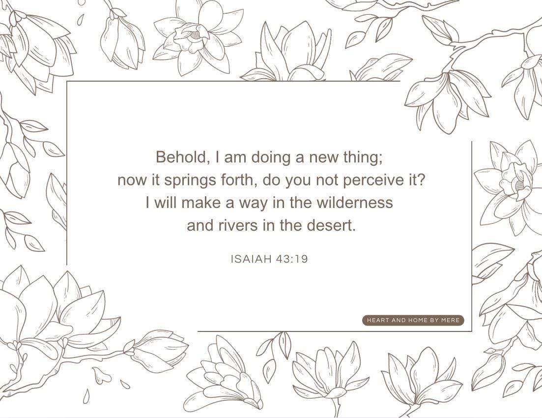 Rooted In Truth Rooted in Truth: 30 Scripture Cards - Etsy