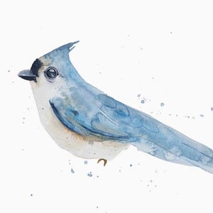 Watercolor Print-Tufted Titmouse