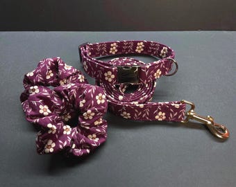 Daisy Pet Collar, Leash & Scrunchie Set, Matching Pet and Owner Accessories