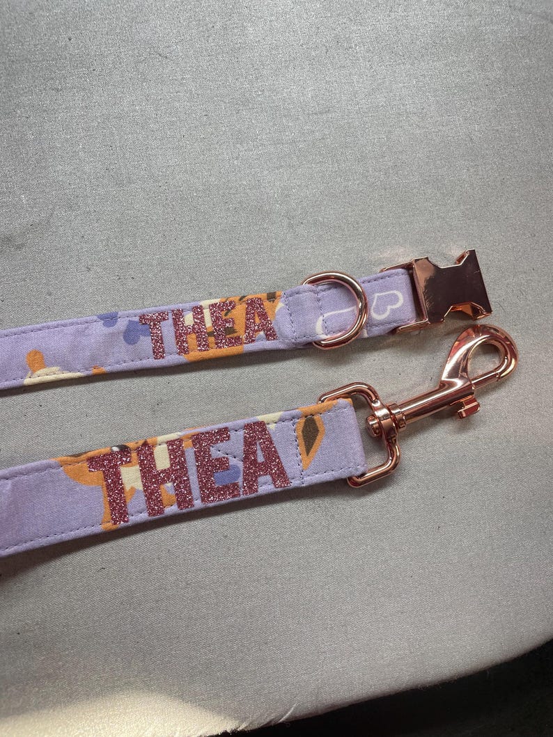 May include: Purple and pink dog collar with a rose gold buckle and a matching leash with the name "THEA" printed in pink glitter.