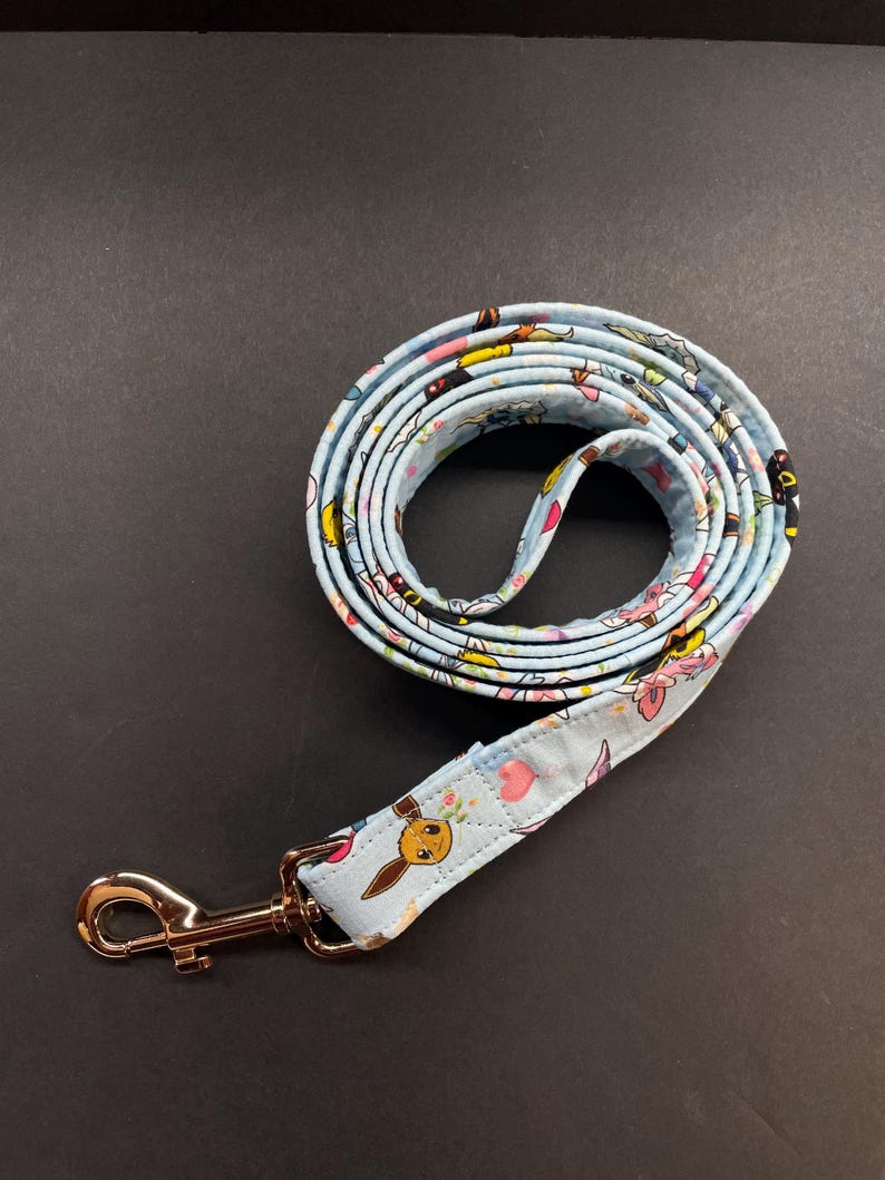 May include: A blue and white dog leash with a gold metal clip. The leash has a pattern of cartoon characters and flowers.