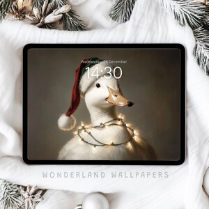 Könnte beinhalten: Eine weiße Ente trägt einen roten Weihnachtsmann-Hut mit weißem Besatz und eine Lichterkette um den Hals. Die Ente befindet sich auf einem braunen Hintergrund mit dem Text "Wednesday 25 December 14:30" und "WONDERLAND WALLPAPERS" unten.