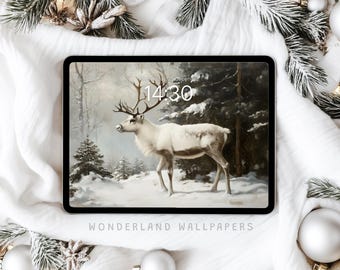 Pode incluir: Um tablet exibindo um papel de parede digital de uma rena branca em uma paisagem de floresta nevada. A tela mostra a hora 14:30 e a data quarta-feira, 25 de dezembro. O texto WONDERLAND WALLPAPERS está impresso abaixo da tela do tablet.