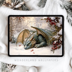 May include: A digital illustration of a green and brown dragon sleeping in a snowy forest. The dragon has red eyes and is surrounded by red berries. The time is 14:30. The image is labeled "Wonderland Wallpapers".