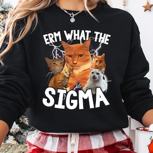Puede incluir: Sudadera negra con un gráfico de gatos y el texto "Erm what the sigma".