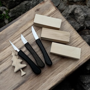 Beginner Wood Carving Knife Set: Whittling Tools with Ash Handles