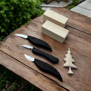 Beginner Wood Carving Knife Kit: Whittling Tools, 3 Blades & Wood Blocks