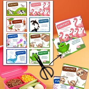 Könnte beinhalten: Eine rosa Lunchbox mit Fächern, die Essen enthalten, neben einem Satz Lernkarten mit Tierfakten. Die Karten zeigen Illustrationen von Kühen, Flamingos, Faultieren und anderen Tieren. Eine schwarze Schere ist ebenfalls vorhanden.