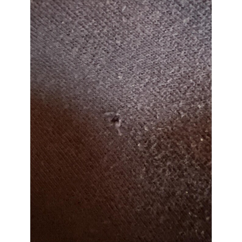 Sudadera con capucha Disneyland para mujer, pequeña, azul, con cremallera, estilo vintage imagen 6
