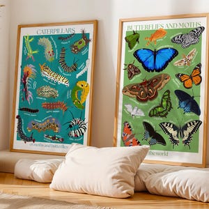 Può includere: Due stampe artistiche botaniche incorniciate. Una presenta illustrazioni colorate di bruchi su sfondo turchese, intitolata "Caterpillars". L'altra mostra farfalle e falene su sfondo verde, intitolata "Butterflies and Moths".