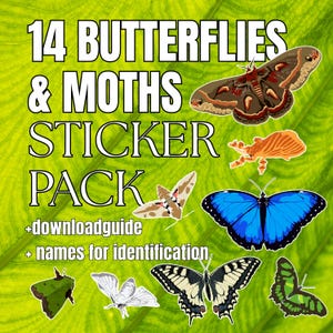 Könnte beinhalten: Ein Sticker-Pack mit 14 Schmetterlings- und Mottenmotiven. Die Aufkleber zeigen eine Vielzahl von bunten Schmetterlingen und Motten, mit dem Text "14 BUTTERFLIES & MOTHS STICKER PACK" und dem zusätzlichen Text "+downloadguide + names for identification".