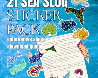 Paquete de 21 pegatinas y clipart digitales de nudibranquios, ilustraciones de biología marina, babosa marina dibujada a mano PNG, arte científico de nudibranquios para GoodNotes