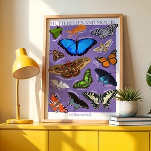 Può includere: Un poster incorniciato intitolato "Butterflies and Moths of the World" con illustrazioni colorate di varie specie di farfalle e falene su sfondo viola. Il poster è esposto su un mobile giallo con una lampada gialla.