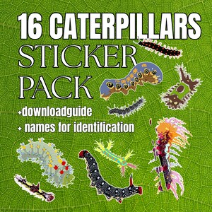 16 Caterpillars Sticker Pack&Clipart for Goodnotes - Digital PNG Bundle for Biology Notes - Educational Printable Entomology Set