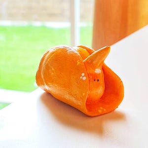 Seaslugs nudibranch handmade - Gastropteron sp.1