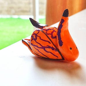 Seaslugs nudibranch handmade - Siphopteron tigrinum Gosliner, 1989
