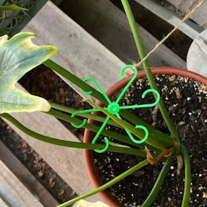 5-Prong Plant Support Clip for Upright Growth, Multi-Stem Holder for Garden or Indoor Plants, Reusable Plant Trainer for Stems