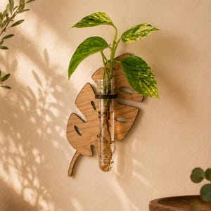 May include: A wall-mounted wooden plant propagation station shaped like a monstera leaf. It features a clear glass test tube held by a dark wooden ring, containing a green and yellow variegated pothos plant with visible roots in water.
