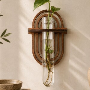 Puede incluir: Una estación de propagación de pared con un tubo de ensayo de vidrio transparente sostenido por un marco de madera marrón oscuro con un diseño arqueado y en capas. Un esqueje de planta verde con raíces visibles está en agua.