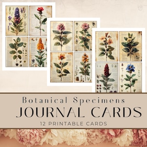 Cartões de diário de sucata de espécimes botânicos vintage, kit de diário de sucata, diário de sucata floral, papel de sucata, surrado, imprimíveis, fabricação de cartões
