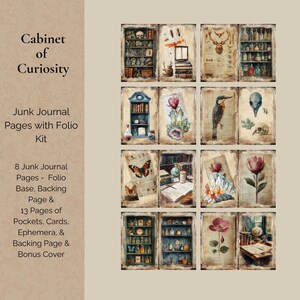 Cabinet of Curiosities Junk Journal Kit, Digital Scrapbook Paper, Natural History Printable, Victorian Science Pages, Vintage Ephemera Craft image 2