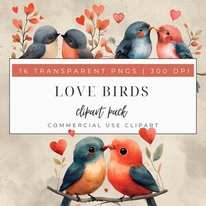 Lot de cliparts mignon oiseau amoureux | 16 fichiers JPEG de haute qualité avec arrière-plan | Utilisation commerciale | Créations numériques en papier | Clipart Saint Valentin