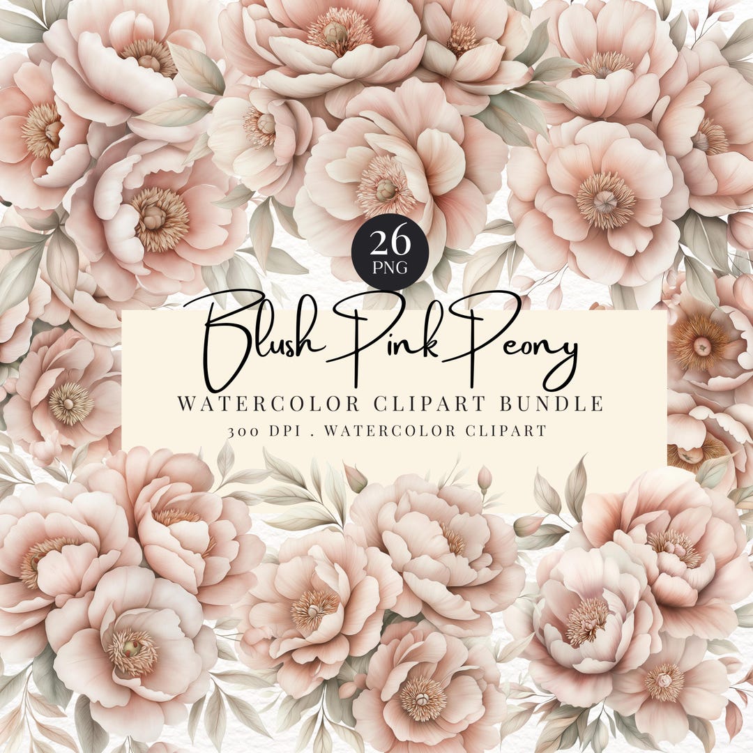 Blush Peonies Watercolor Clipart, Watercolor Peony, Peonies Clipart ...