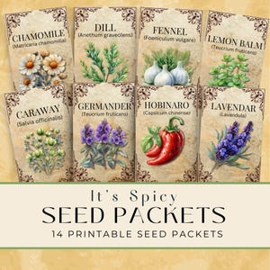 Spice Digital Junk Journal Download Seed Packets, Junk Journal Collection Add On, Vintage Digital Kit Cookbook Ephemera, Seed Packet Style