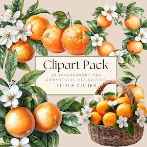 Little Cutie Clipart, Clipart de aquarela laranja, Um pequeno fofo está a caminho, Clip Art de frutas cítricas, Vegetação, Uso comercial, PNG transparente