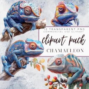 Watercolor Chameleon Clipart Bundle, Colorful Chameleon Print, Chameleon PNG Set, Chameleon Graphics for Junk Journal, Scrapbook
