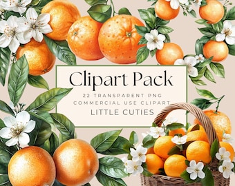 Little Cutie Clipart, Watercolor Orange Clipart, A Little Cutie Is On The Way, Citrus Clip Art, Greenery, Commercial Use, Transparent PNG