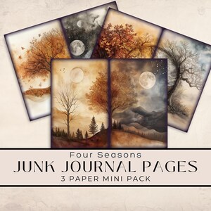 Four Seasons Junk Journal Digitaal papier, 3 digitale dagboekpagina&#39;s, Afdrukbare ephemera, Papierkunst, collagevel, Herfst Zomer Winter Lente