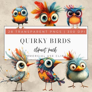 Super Cute Quirky Bird Clipart, Mixed Media Quirky Bird Clip Art, Cute Caricature Birds, Quirky Clipart, Funny Birds PNG, Scrapbooking