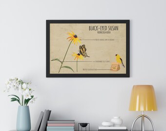 Anatomy of Native Plants Poster, Eastern Red Columbine, Pollinator and ...