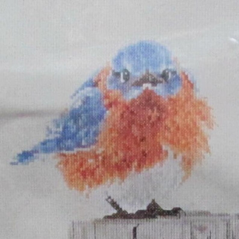 Vintage Bucilla Counted Cross Stitch Mad Blue Bird 2000