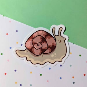 Snail Vinyl Sticker