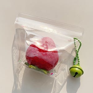 Pode incluir: Uma bolsa de pl&aacute;stico transparente com fecho de correr contendo um objeto vermelho em forma de morango com uma base de folhas verdes. Uma corrente de esferas verde com um pequeno sino verde est&aacute; presa &agrave; lateral da bolsa.