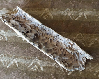 Unique 12" Piece of Weathered Washington Coast Beach Driftwood, OOAK Wormwood for Crafts, Terrarium, Art